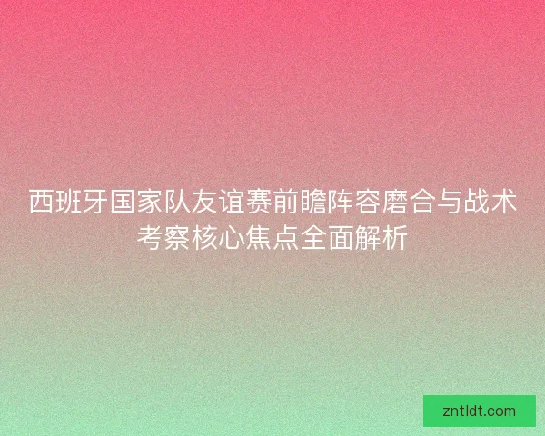 西班牙国家队友谊赛前瞻阵容磨合与战术考察核心焦点全面解析