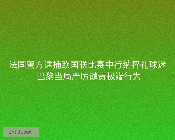 法国警方逮捕欧国联比赛中行纳粹礼球迷 巴黎当局严厉谴责极端行为
